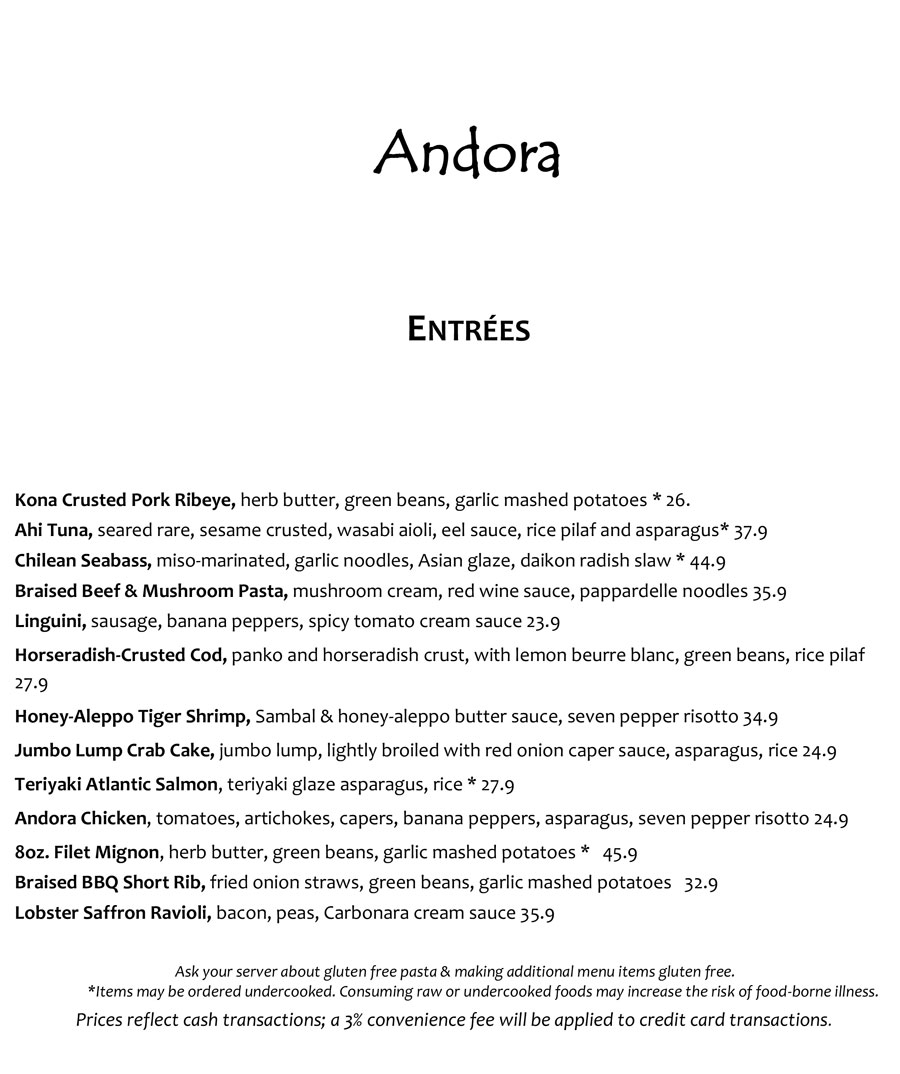 andora-dinner-december-2024-2